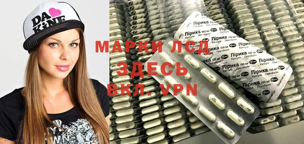 крисы Абаза