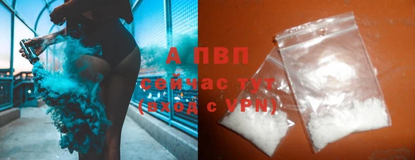 крисы Абаза