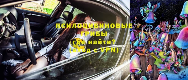 тгк Пролетарск